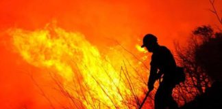 Milazzo: Arrestato Piromane. I Carabinieri lo sorprendono mentre appiccava il fuoco. piromane-incendio