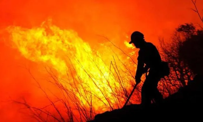 piromane-incendio