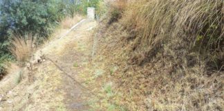 Mario Biancuzzo: “A Rodia in contrada Policara, vi sono fuoriuscite d’acqua da un tubo rotto”