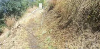 Mario Biancuzzo: “A Rodia in contrada Policara, vi sono fuoriuscite d’acqua da un tubo rotto”