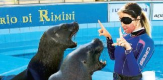 Gessica Notaro (Rimini): “E come se non bastasse, eccomi qua”