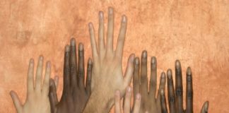 Antonella Politano (MNS – CS): “L’immigrazione è diventata un vero e proprio business, a guadagnarci non sono i profughi oppure i richiedenti asilo”