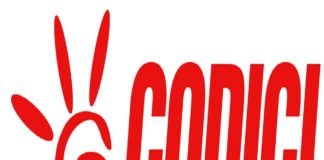 L’Associazione “Codici”, promuove la Campagna Voglio Papà: la distorsione delle consulenze tecniche e i suggerimenti degli studi legali