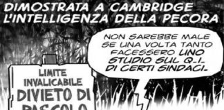 La pecora “Pelority”, ottiene la vicinanza dell’assessore Daniele Ialacqua