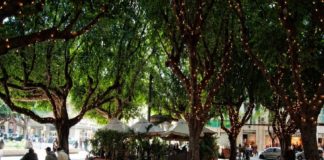 Una lettera dell’architetto Nino Principato, su piazza Cairoli