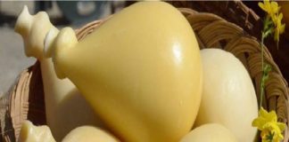 45^ Sagra della Provola Basicotana