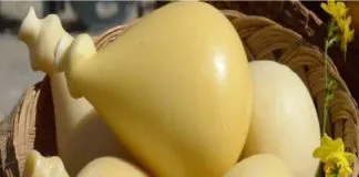 45^ Sagra della Provola Basicotana