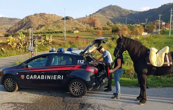 PATTI-CONTROLLO-Cavalli