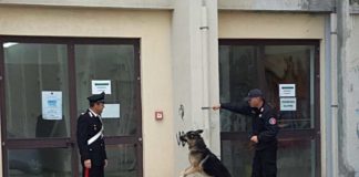 Controlli al Liceo Scientifico Statale di Milazzo. Foto-cinofili
