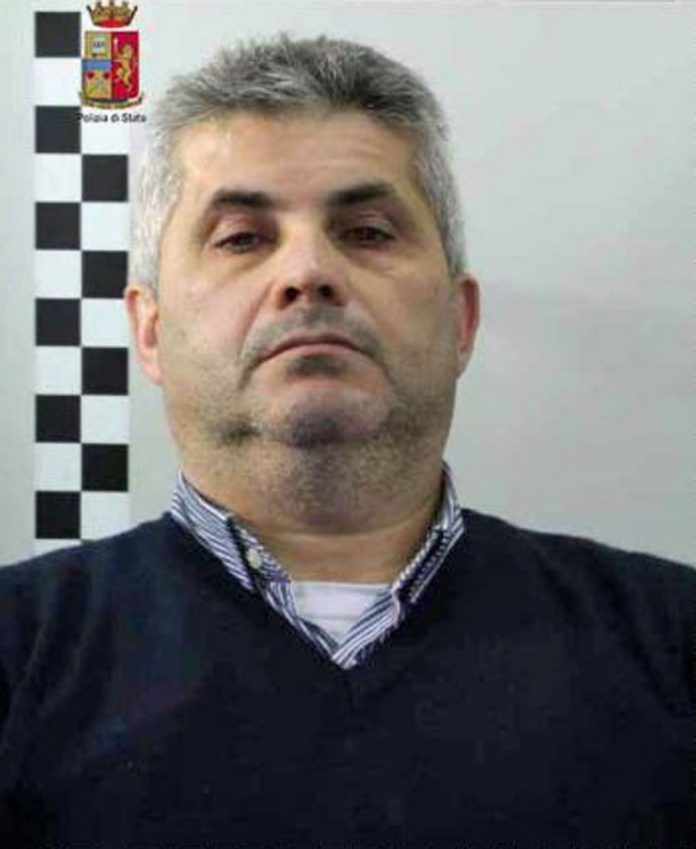 di-giovanni-francesco