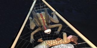 All’Arsenale della Marina Regia si presenta il progetto “Sirene nel blu tra mare e cielo”