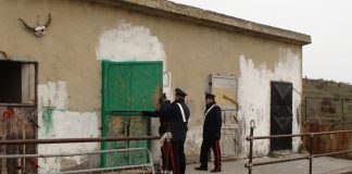 Continuano incessanti controlli sui Nebrodi: Allevatore di Cesarò arrestato dai Carabinieri per detenzione abusiva di arma e ricettazione. carabinieri - cesarò