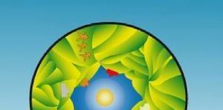 Inpef (Roma): “Un regalo di Natale straordinario!”