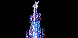 A piazza Cairoli, si è acceso l’albero di Natale