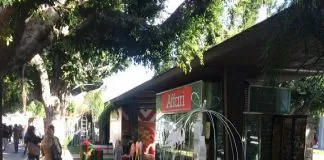 Marco Bellantone, su piazza Cairoli: “Belle iniziative, ma in ritardo”