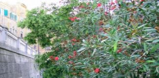 Anche l’Assessorato alle Pari Opportunità di Palazzo Zanca, condanna l’episodio di razzismo