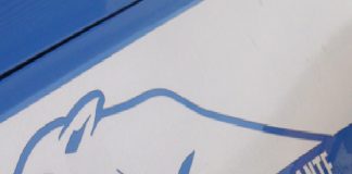 A Messina: un pluripregiudicato, arrestato dalla Polizia di Stato