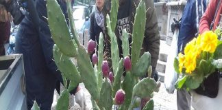 L’assessore del Comune di Messina, Daniele Ialacqua, testimone della manifestazione di stamane contro il razzismo