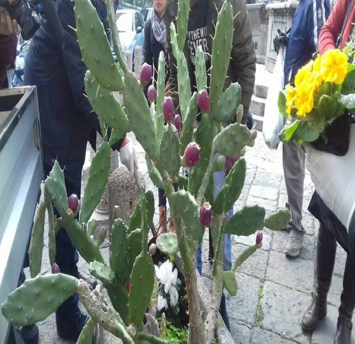 momento di solidarietà