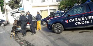 Marito e moglie arrestati dai Carabinieri di Naso per traffico e detenzione illecita di sostanza stupefacente carabinieri-cinofili