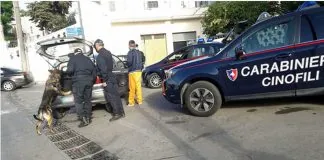 Marito e moglie arrestati dai Carabinieri di Naso per traffico e detenzione illecita di sostanza stupefacente carabinieri-cinofili