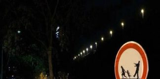 Il parere, di Roberto Mihel: “I Servizi Sociali, devono essere indagati…”