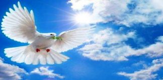 Roma: scongiurato il “TSO mascherato” di un adolescente