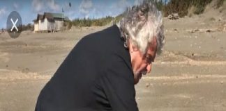 Marika Cassimatis (Genova): “La medusa spiaggiata…”