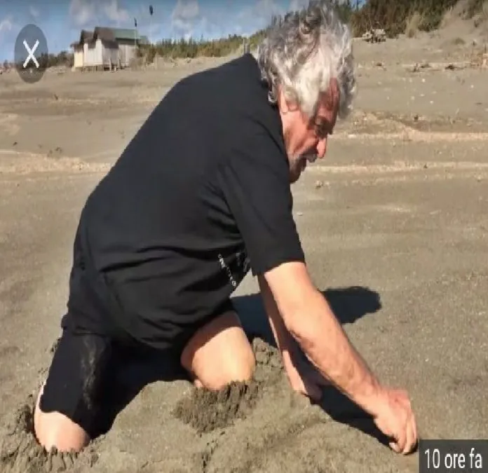 GRILLO SPIAGGIA
