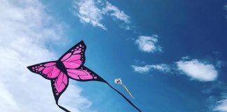 Per il secondo anno consecutivo a Messina: “Il Festival degli Aquiloni”