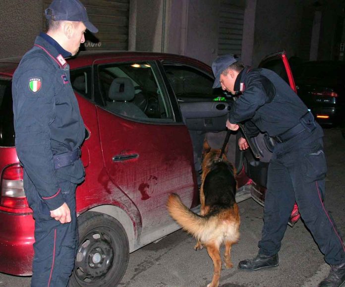 Carabinieri-cinofili-in-attività