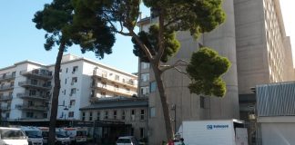 Palermo: una donna investita da un’automobile, lo scorso 9 maggio