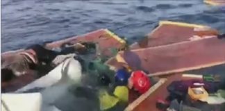 Matteo Salvini (ministro dell’Interno): “Bugie e insulti di qualche ONG straniera”