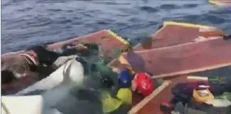 Matteo Salvini (ministro dell’Interno): “Bugie e insulti di qualche ONG straniera”