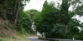 Colli San Rizzo (ME): un incidente stradale, ha coinvolto questa mattina, un Suv Mercedes-Benz ed una Moto Ape Piaggio