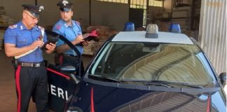 I carabinieri, hanno effettuato sequestri e comminato sanzioni