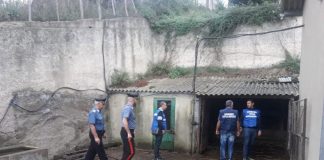 Mistretta (ME): controlli dei Carabinieri in materia di sicurezza alimentare. FOTO-servizio-congiunto