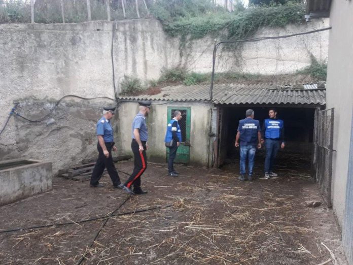 FOTO-servizio-congiunto