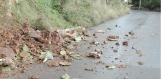 Lo evidenzia Mario Biancuzzo, il consigliere della VI^ Circoscrizione di Messina, in riferimento al villaggio di Acqualadrone