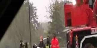 Via Casilina (Roma): una Smart, è rimasta schiacciata da un pino