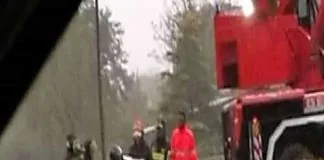 Via Casilina (Roma): una Smart, è rimasta schiacciata da un pino