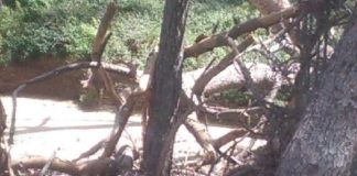 Il consigliere Comunale di Ora Messina Giandomenico La Fauci, evidenzia uno stato di degrado