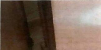 Veneto orientale: due figli, tolti ai genitori con la forza