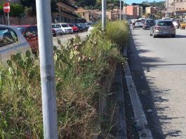 Il consigliere del V° Quartiere di Messina, Franco Laimo, interviene sulla scerbatura a San Licandro e all’Annunziata