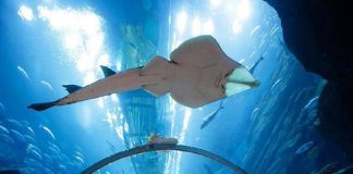 L’Ordine degli Architetti PPC della Provincia di Messina, si è fatto promotore di un incontro