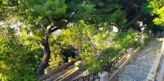 Gli associati di PuliAmo Messina, hanno incontrato l’assessore Dafne Musolino