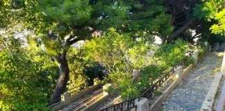 Gli associati di PuliAmo Messina, hanno incontrato l’assessore Dafne Musolino