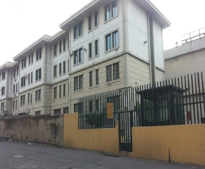 gazzi