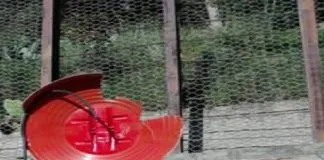 Le richieste del consigliere circoscrizionale, Mario Biancuzzo, al sindaco di Messina ed all’Anas
