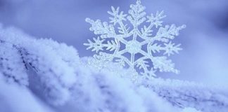 Cristina Cannistrà (5 Stelle – ME): “Ho inoltrato, all’assessore Calafiore, al Dipartimento Politiche sociali e al Dipartimento Protezione civile, la seguente Nota avente ad oggetto…”